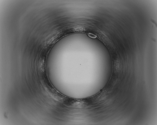 X0000103440364200809191730