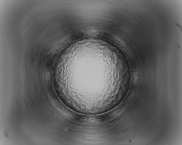X0000103440365200809191730