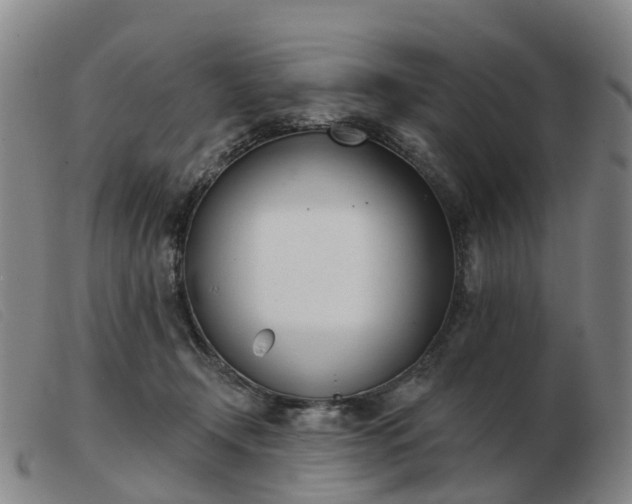 X0000103440366200809191730