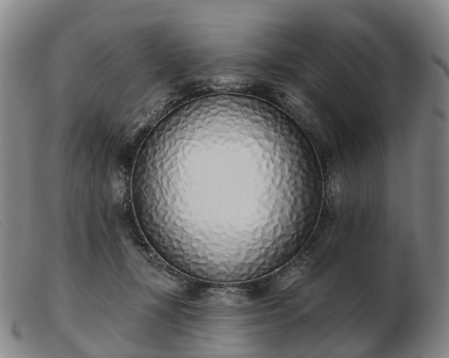 X0000103440367200809191730