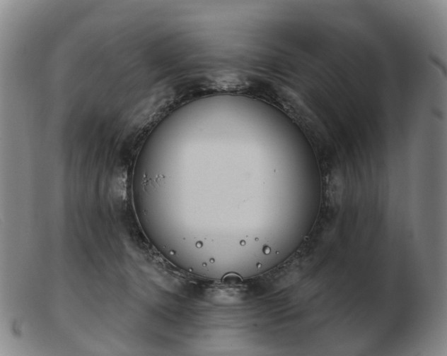 X0000103440368200809191730
