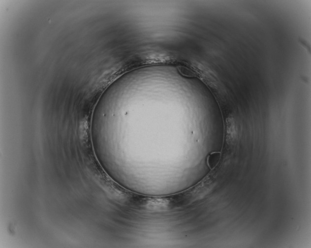 X0000103440369200809191730