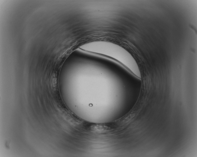 X0000103440372200809191730