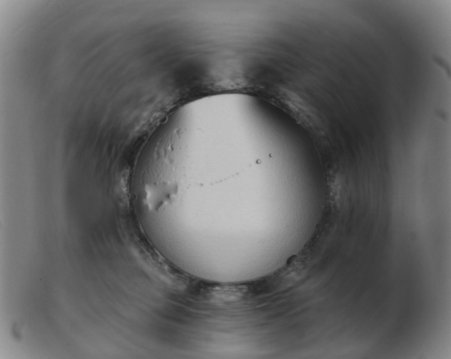 X0000103440373200809191730
