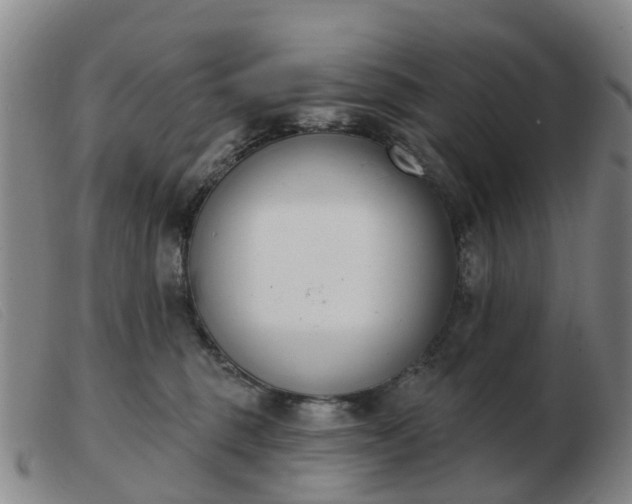 X0000103440375200809191730