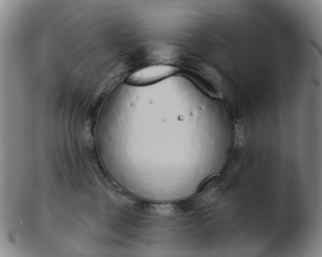 X0000103440377200809191730