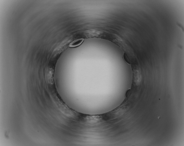 X0000103440378200809191730