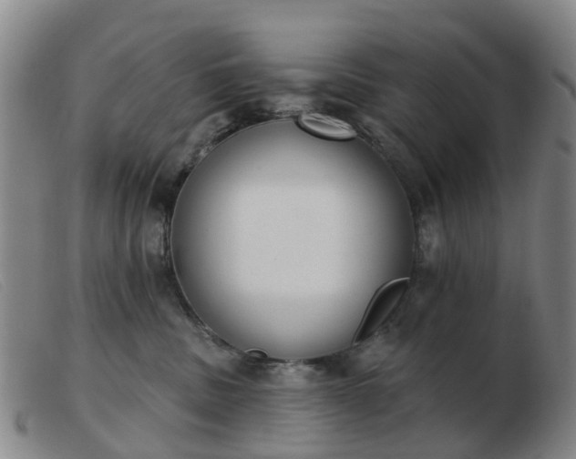 X0000103440379200809191730