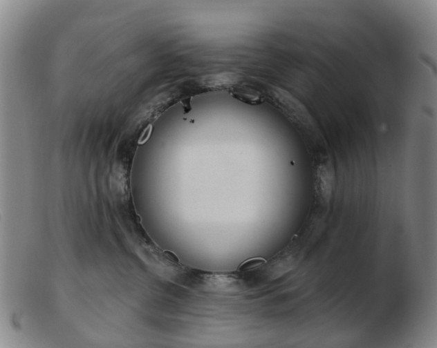 X0000103440380200809191730