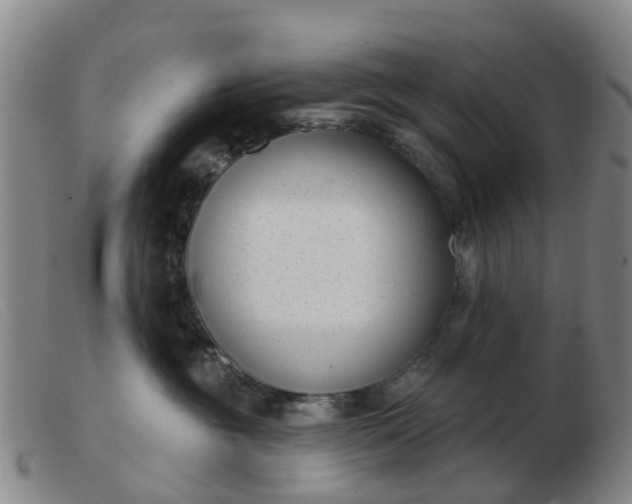 X0000103440381200809191730