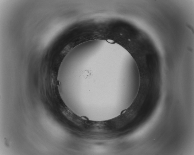 X0000103440382200809191730