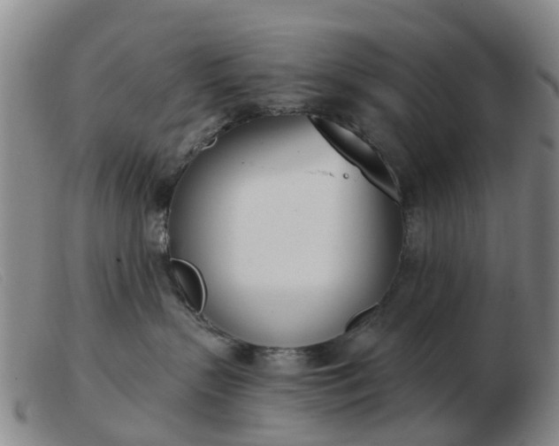 X0000103440383200809191730