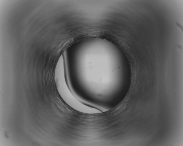 X0000103440384200809191730