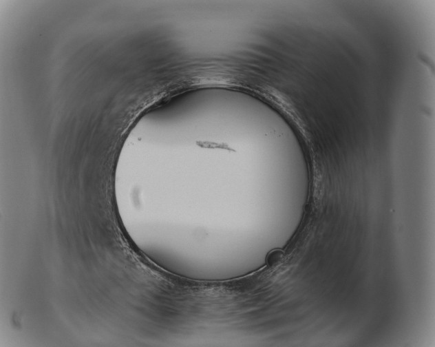 X0000103440385200809191729