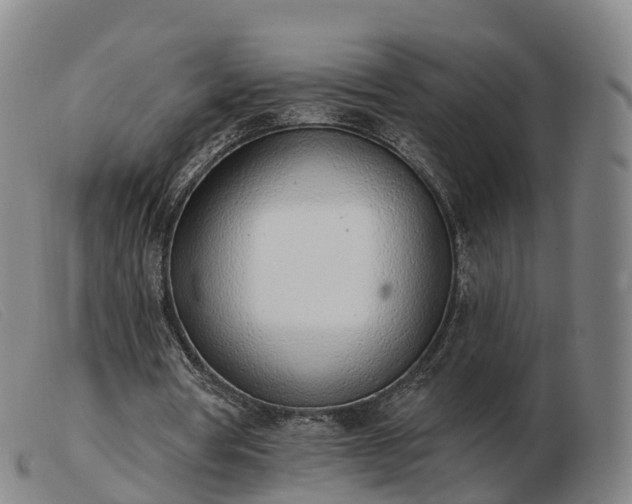 X0000103440386200809191729