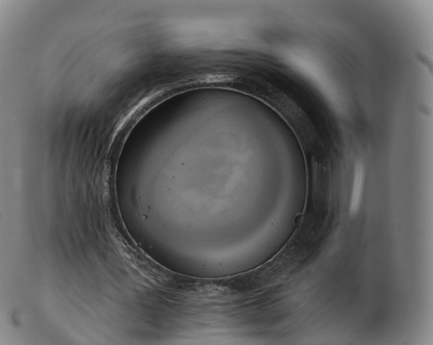 X0000103440387200809191729