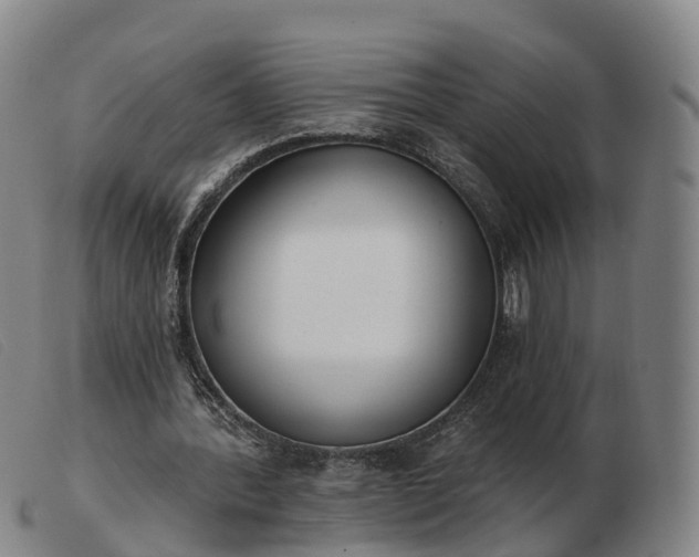 X0000103440388200809191729