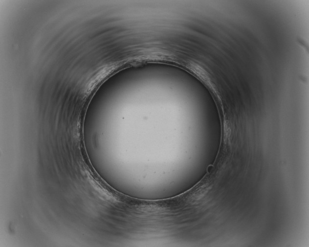 X0000103440389200809191729
