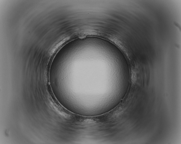 X0000103440390200809191729