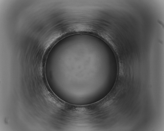 X0000103440391200809191729