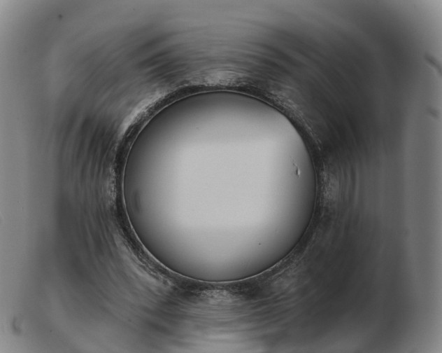 X0000103440392200809191729