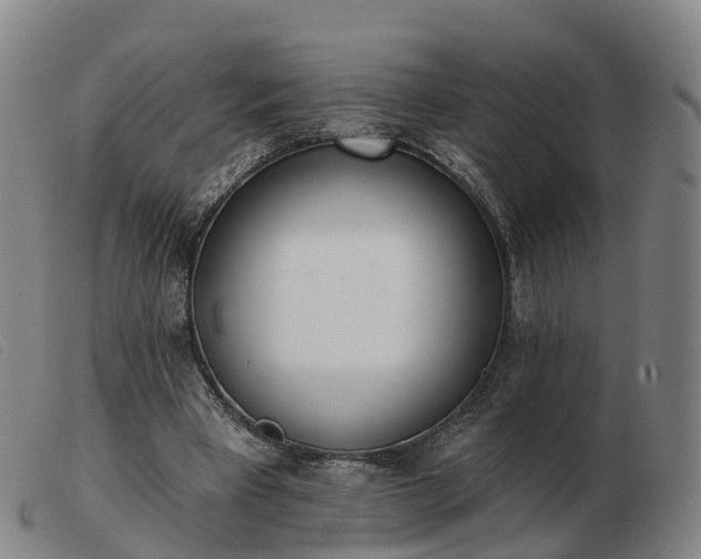 X0000103440393200809191729