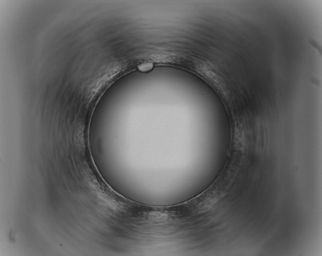 X0000103440394200809191729