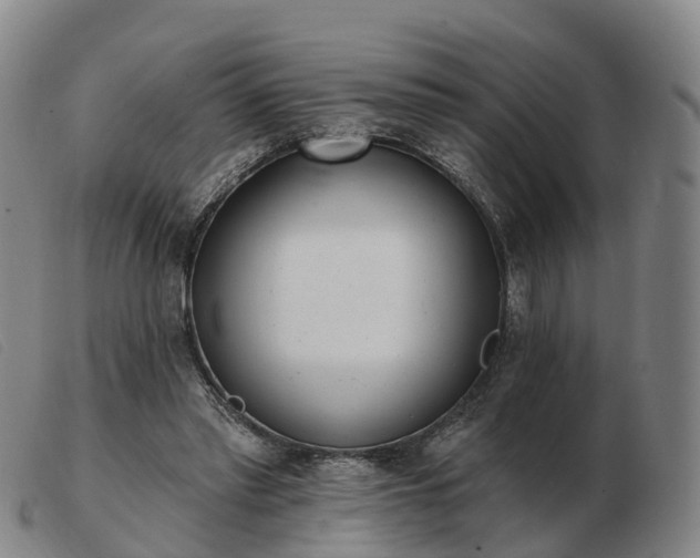 X0000103440397200809191729