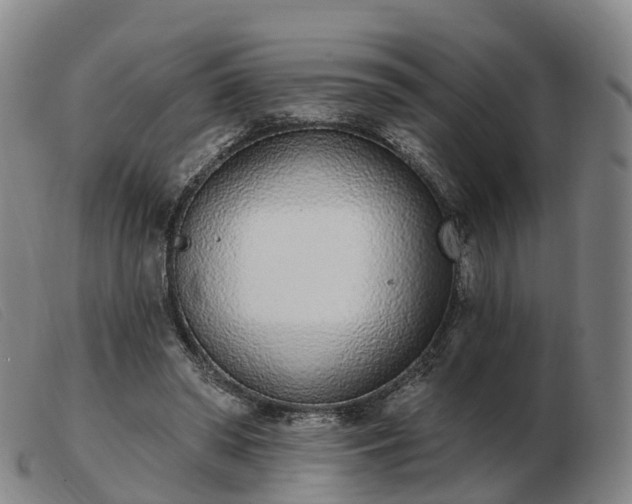 X0000103440398200809191729