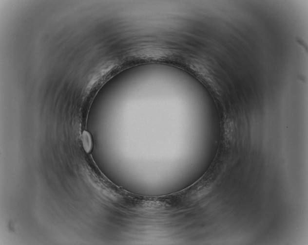 X0000103440399200809191729
