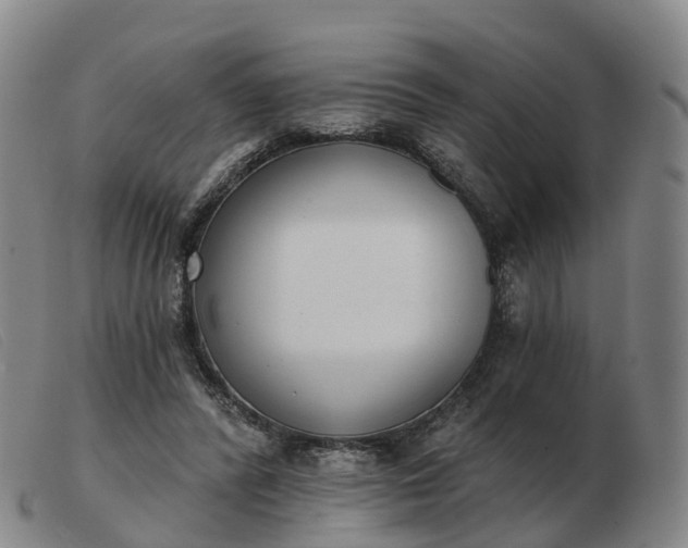 X0000103440400200809191729