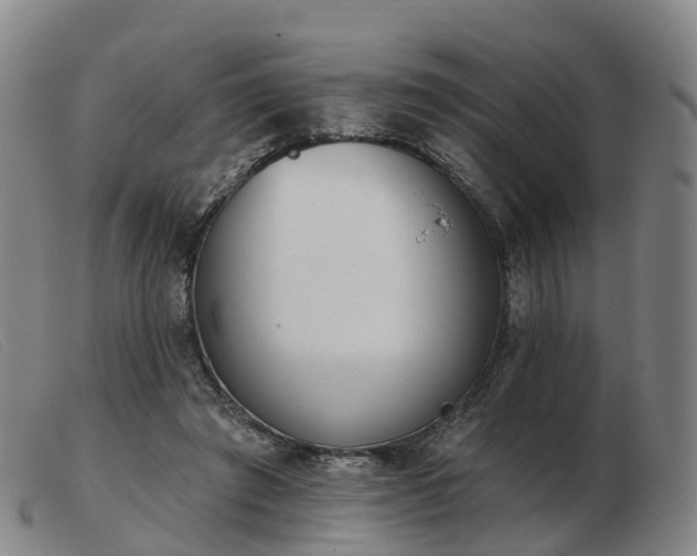 X0000103440401200809191729