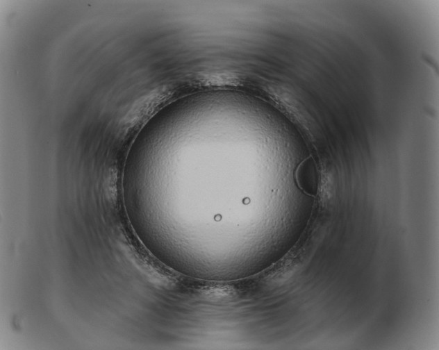 X0000103440402200809191729