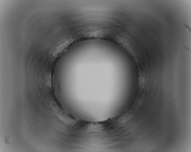 X0000103440403200809191729