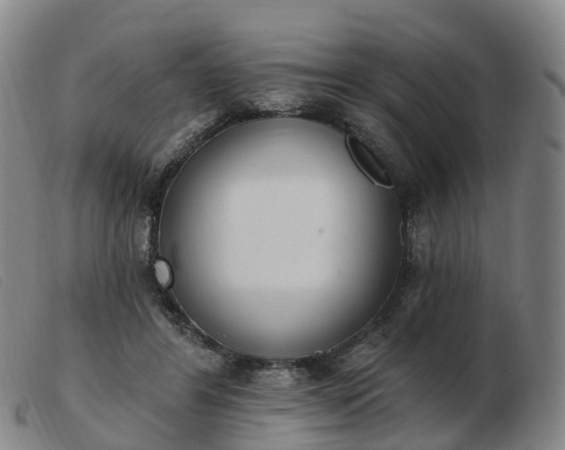 X0000103440404200809191729