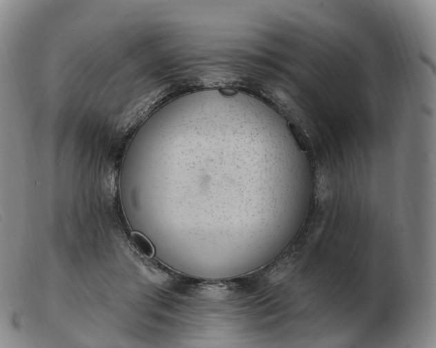 X0000103440405200809191729