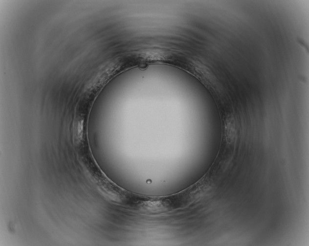 X0000103440406200809191729