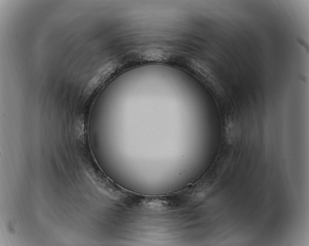 X0000103440407200809191729