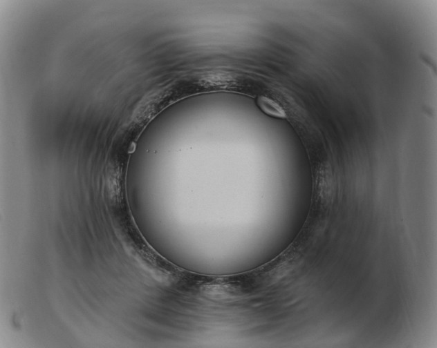 X0000103440408200809191729