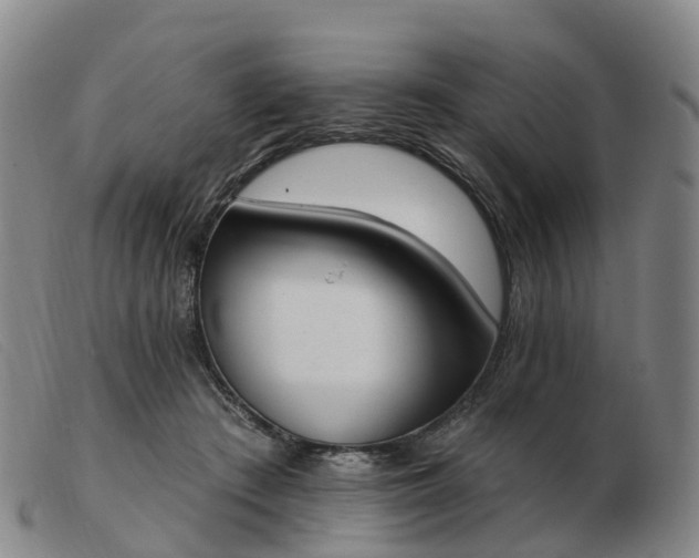 X0000103440409200809191729