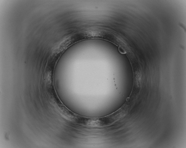 X0000103440410200809191729