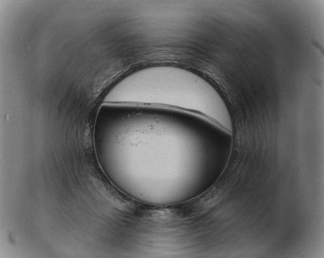 X0000103440411200809191729