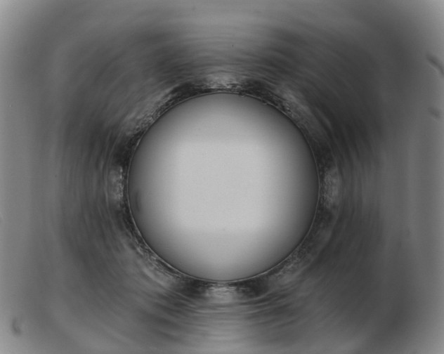 X0000103440413200809191729