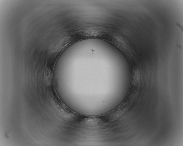 X0000103440414200809191729