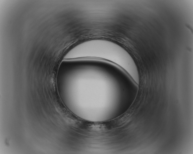 X0000103440415200809191729