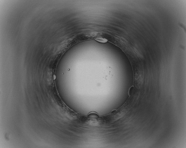X0000103440416200809191729