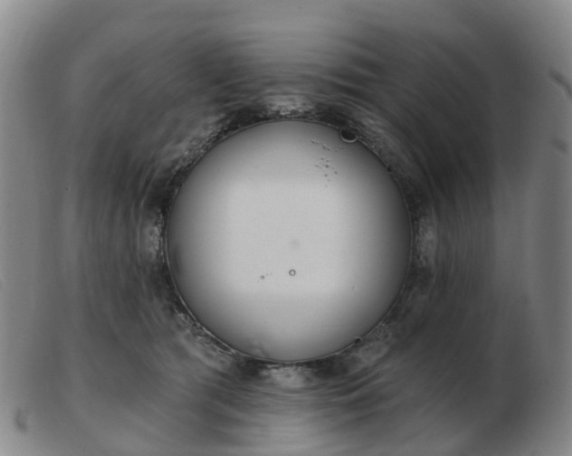 X0000103440417200809191729