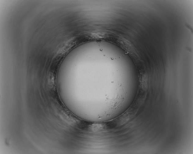 X0000103440418200809191729