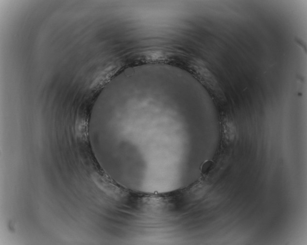 X0000103440419200809191729
