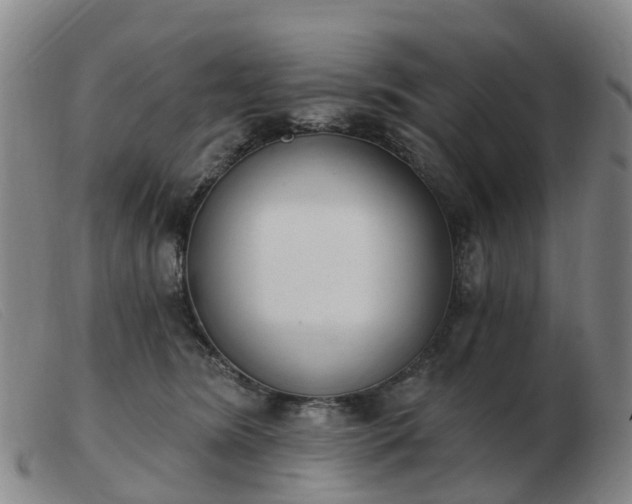 X0000103440420200809191729